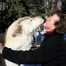 The Kiss of a Wolf…