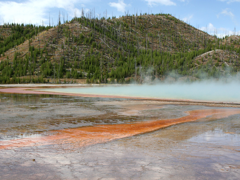 Yellowstone