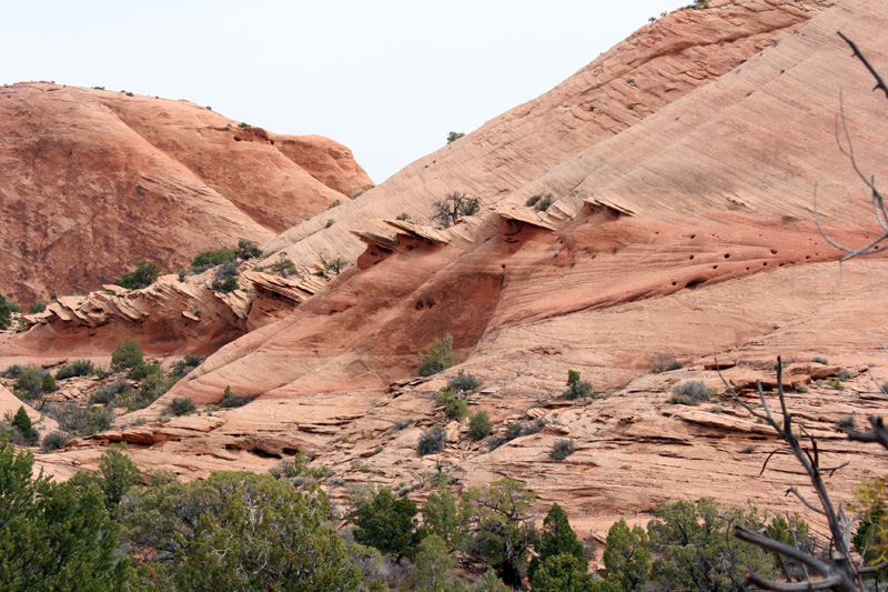 The fins protrude from the hills