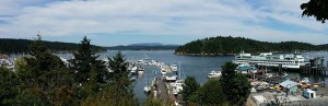 Friday Harbor